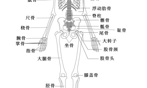 早期肺癌没有症状吗-【早期肺癌没有症状是什么症状图片】早期肺癌没有症状是什么症状表现 - 早期肺癌没有症状是什么症状网
