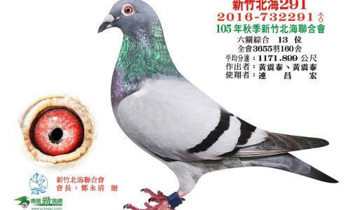 【早期肺癌没有症状是什么症状图片】早期肺癌没有症状是什么症状表现 - 早期肺癌没有症状是什么症状网